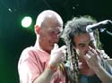 acampada jove 11-06-2008 205