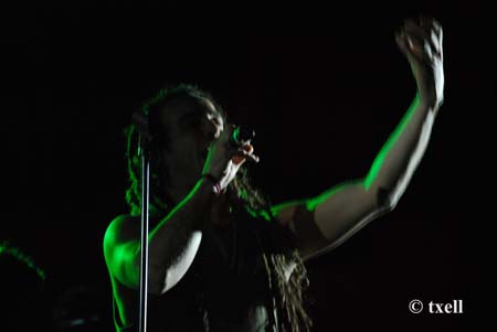DSC_0489 copia