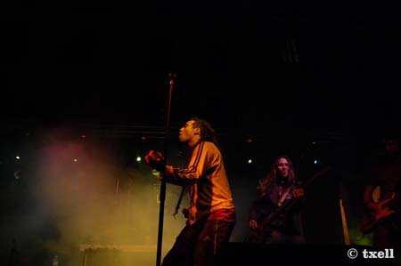 DSC_0374 copia