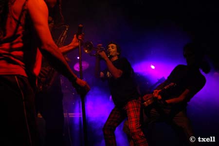 DSC_0486 copia