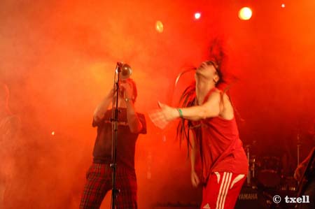 DSC_0254 copia