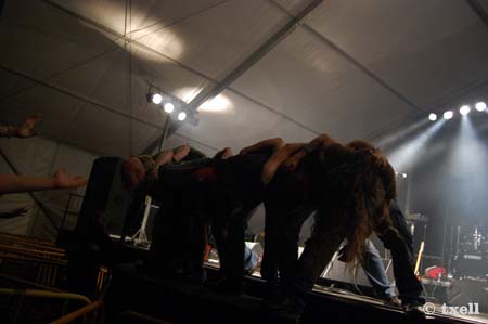 DSC_0294 copia