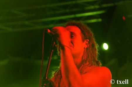 DSC_0534 copia