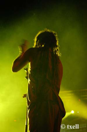 DSC_0559 copia