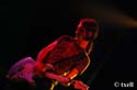 DSC_0491 copia