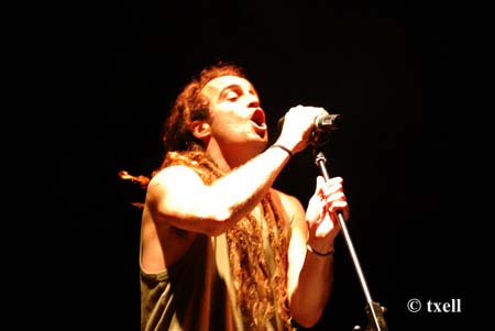 l´arboç (84) copia