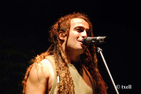 l´arboç (87) copia