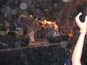 DSCN0978
