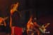 DSC_0341 copia