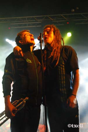 DSC_0086 copia