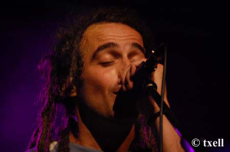 DSC_0494 copia