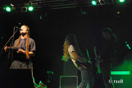 finde vic 809 copia